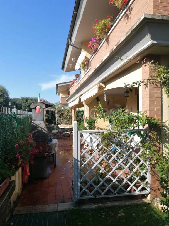 immagine annuncio 9 di 15