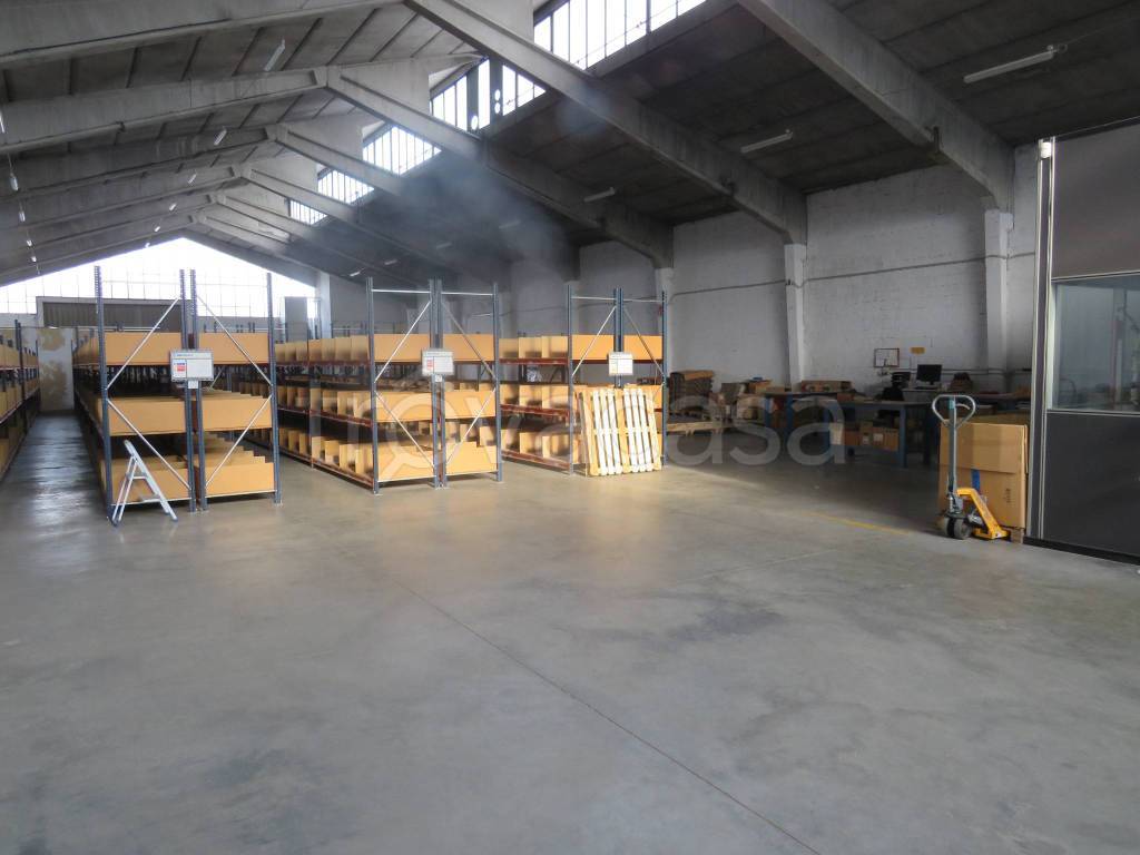 immagine annuncio 4 di 15