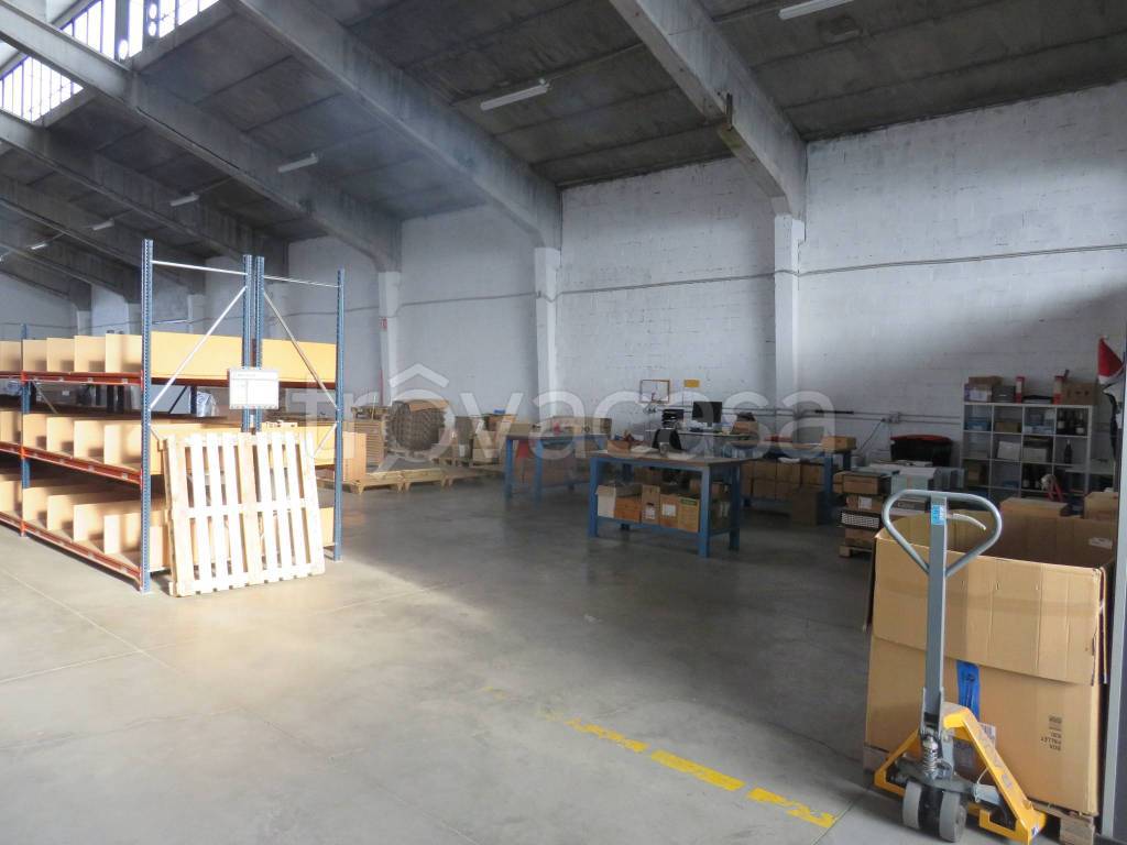 immagine annuncio 5 di 15