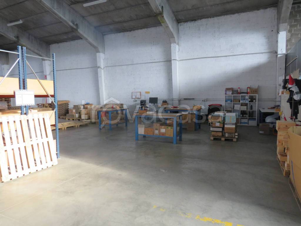 immagine annuncio 7 di 15