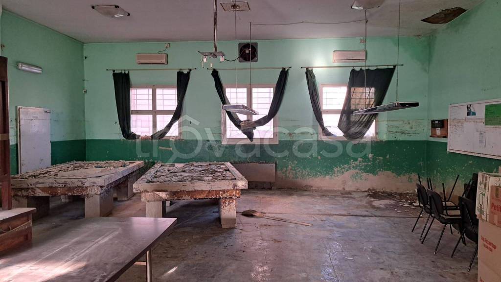 immagine annuncio 4 di 8