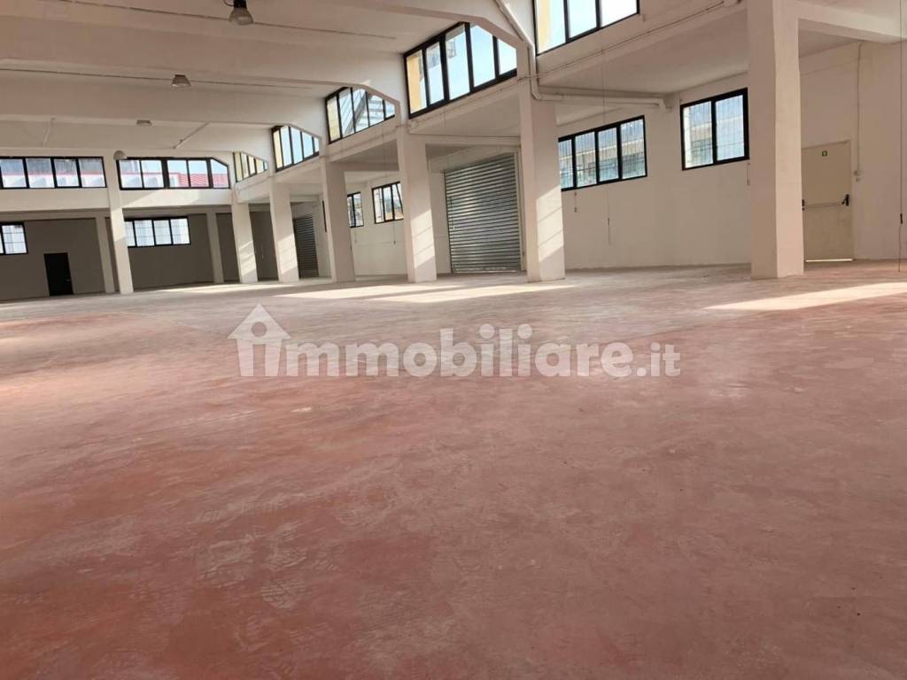 immagine annuncio 4 di 9