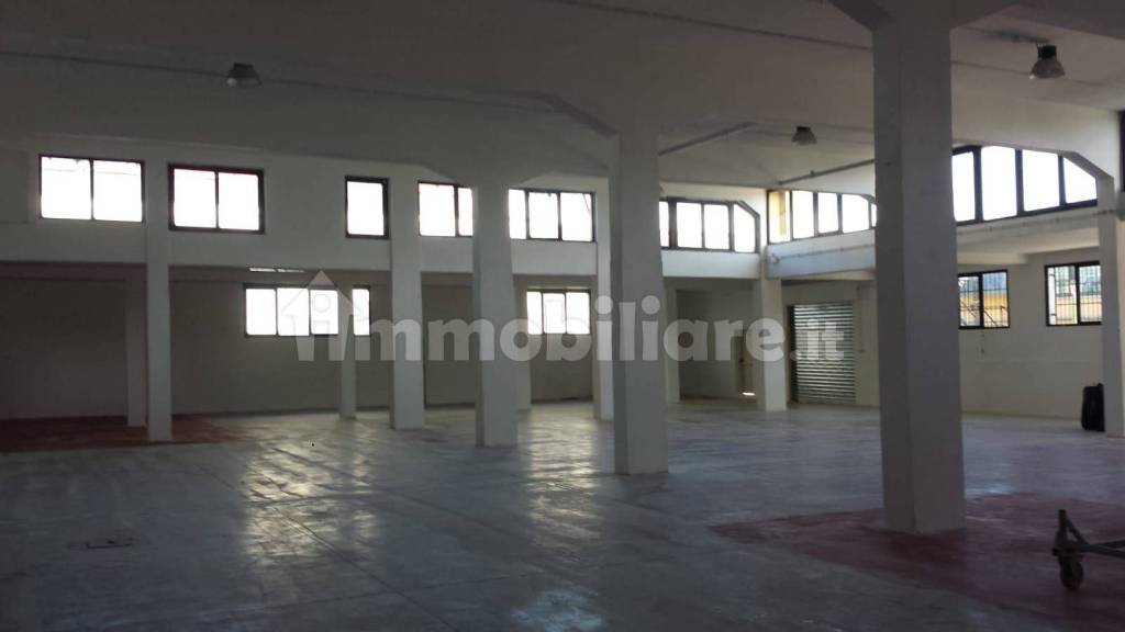 immagine annuncio 5 di 9