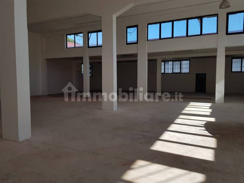 immagine annuncio 6 di 9