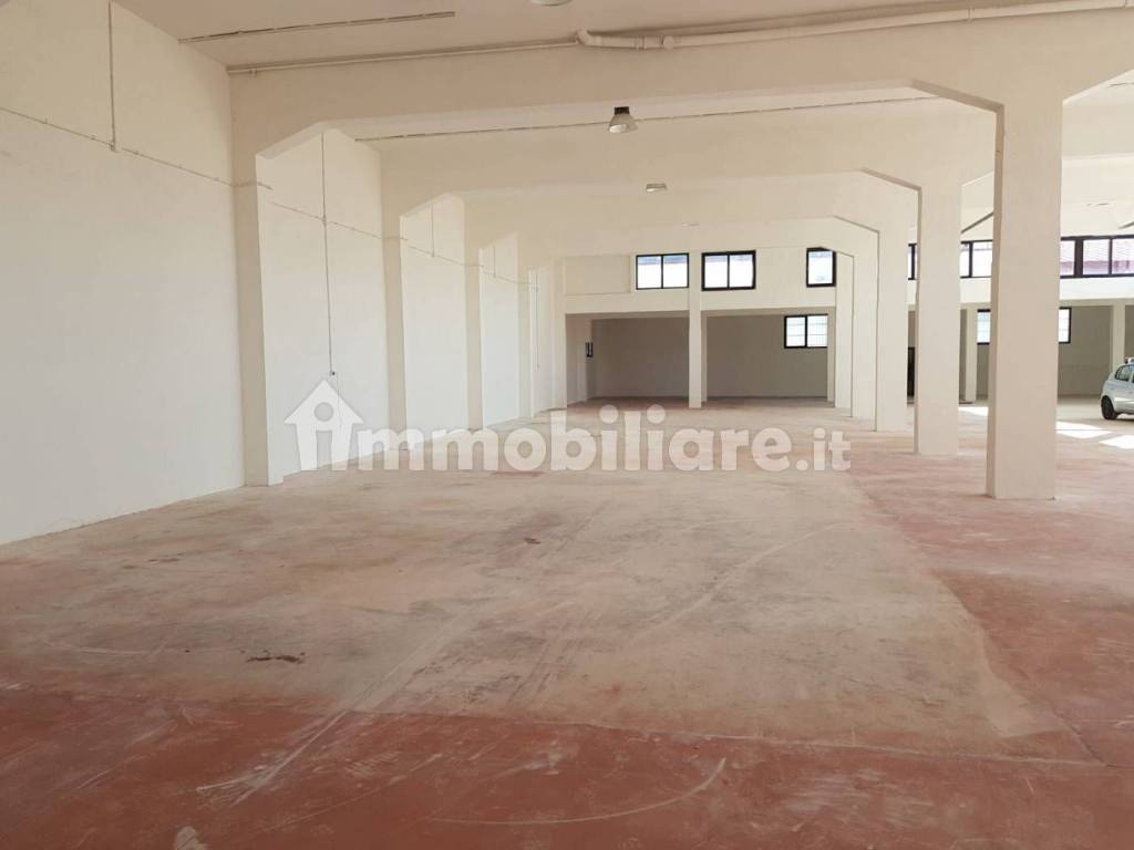 immagine annuncio 7 di 9