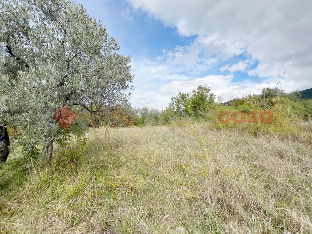 immagine annuncio 6 di 9