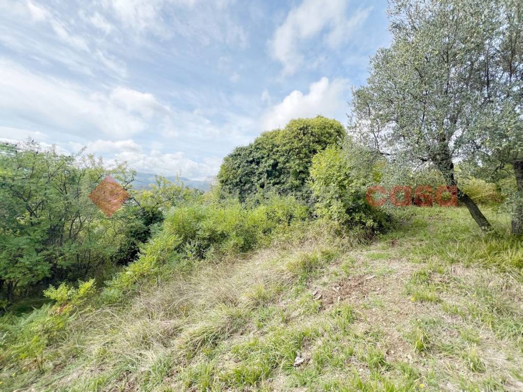 immagine annuncio 8 di 9