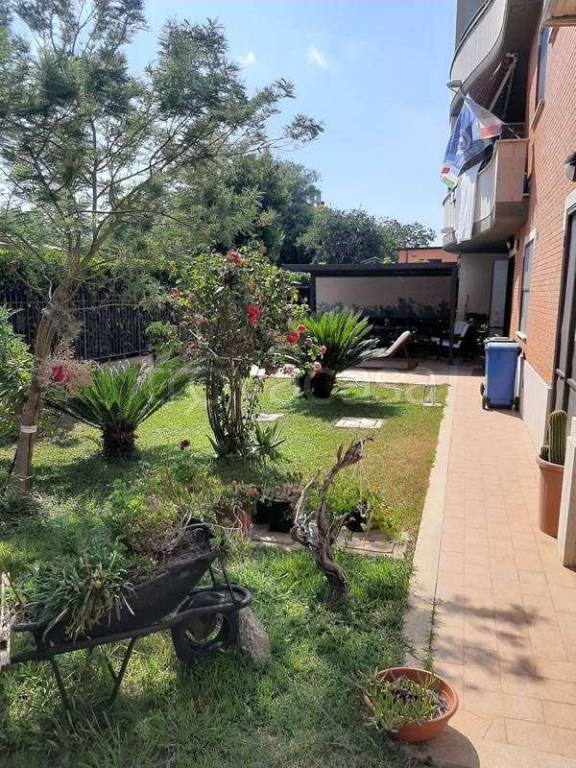 immagine annuncio 1 di 14