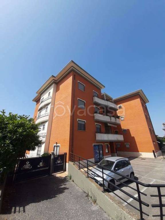 immagine annuncio 2 di 14