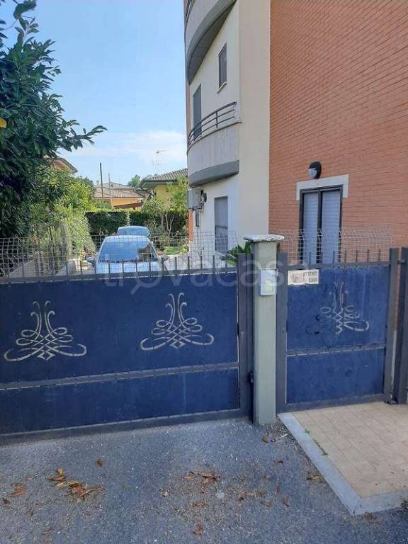 immagine annuncio 4 di 14