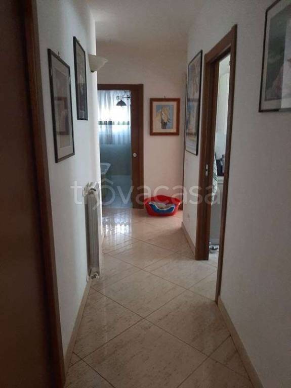 immagine annuncio 7 di 14