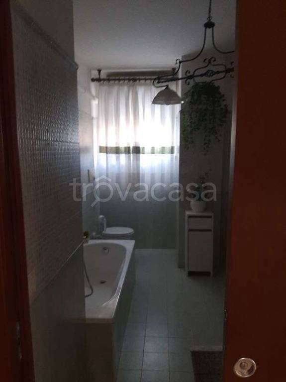 immagine annuncio 12 di 14