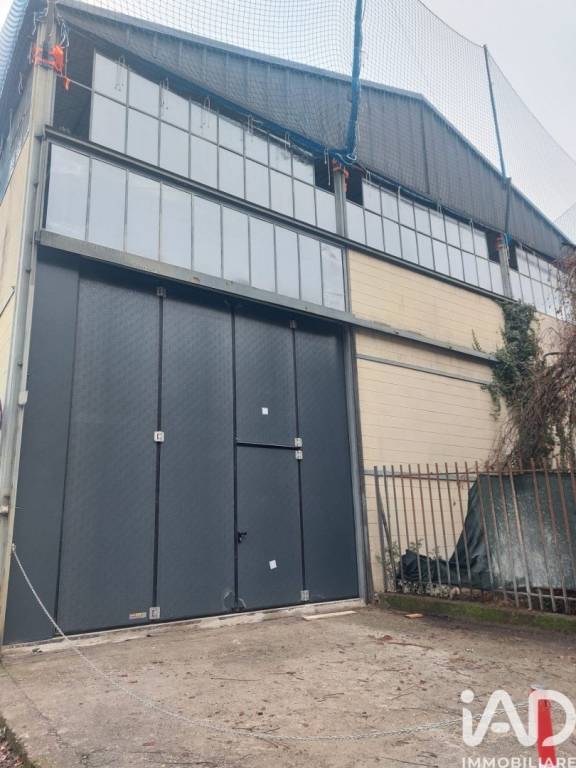 immagine annuncio 2 di 15