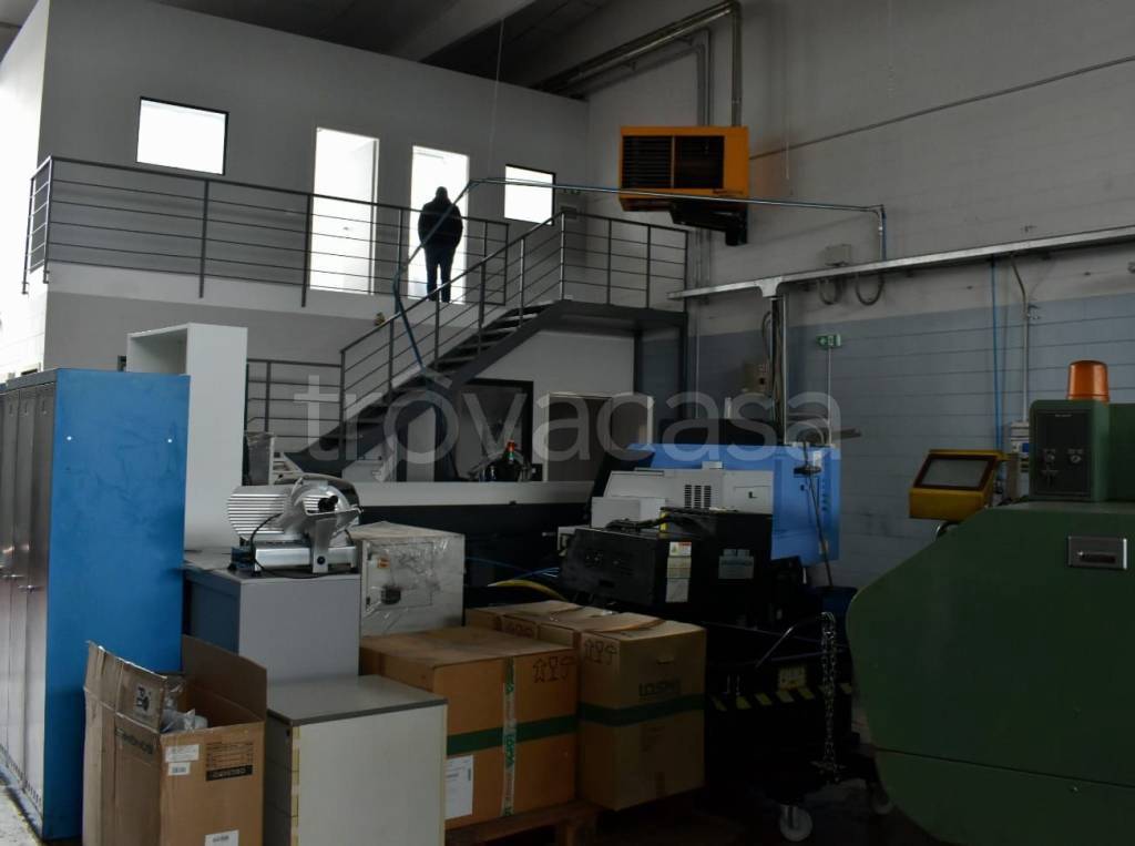 immagine annuncio 1 di 9