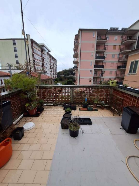 immagine annuncio 3 di 14