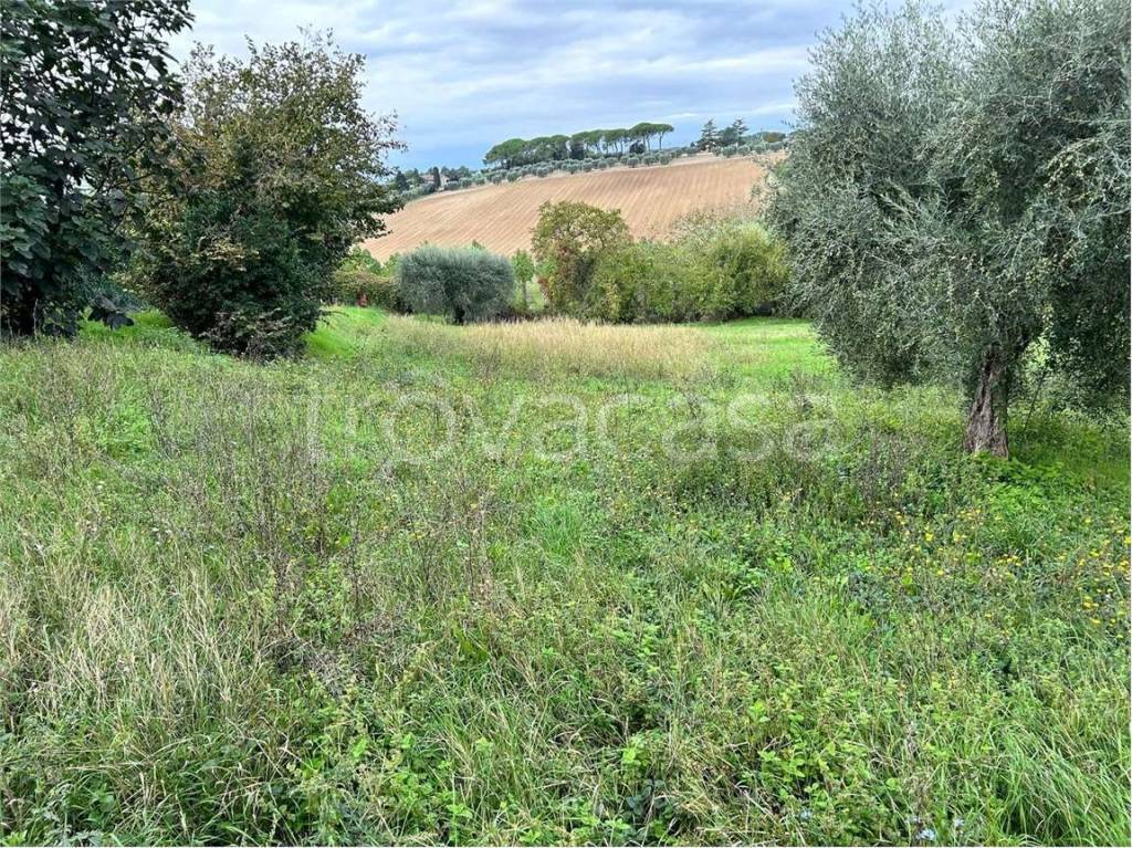 immagine annuncio 4 di 11