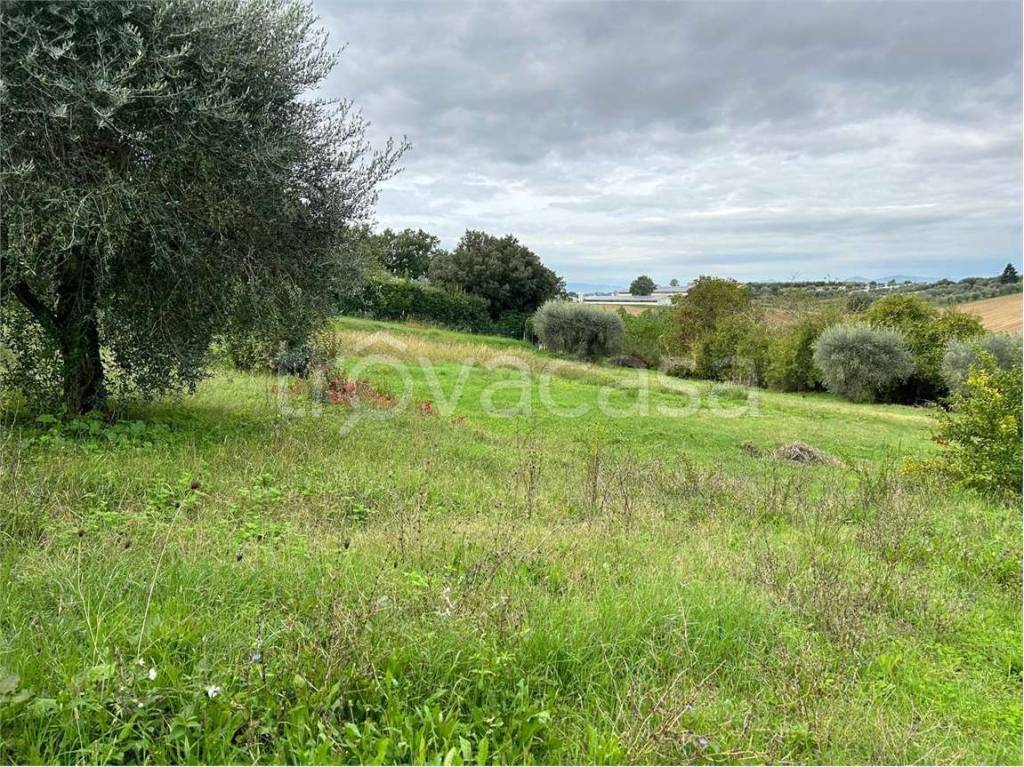 immagine annuncio 7 di 11