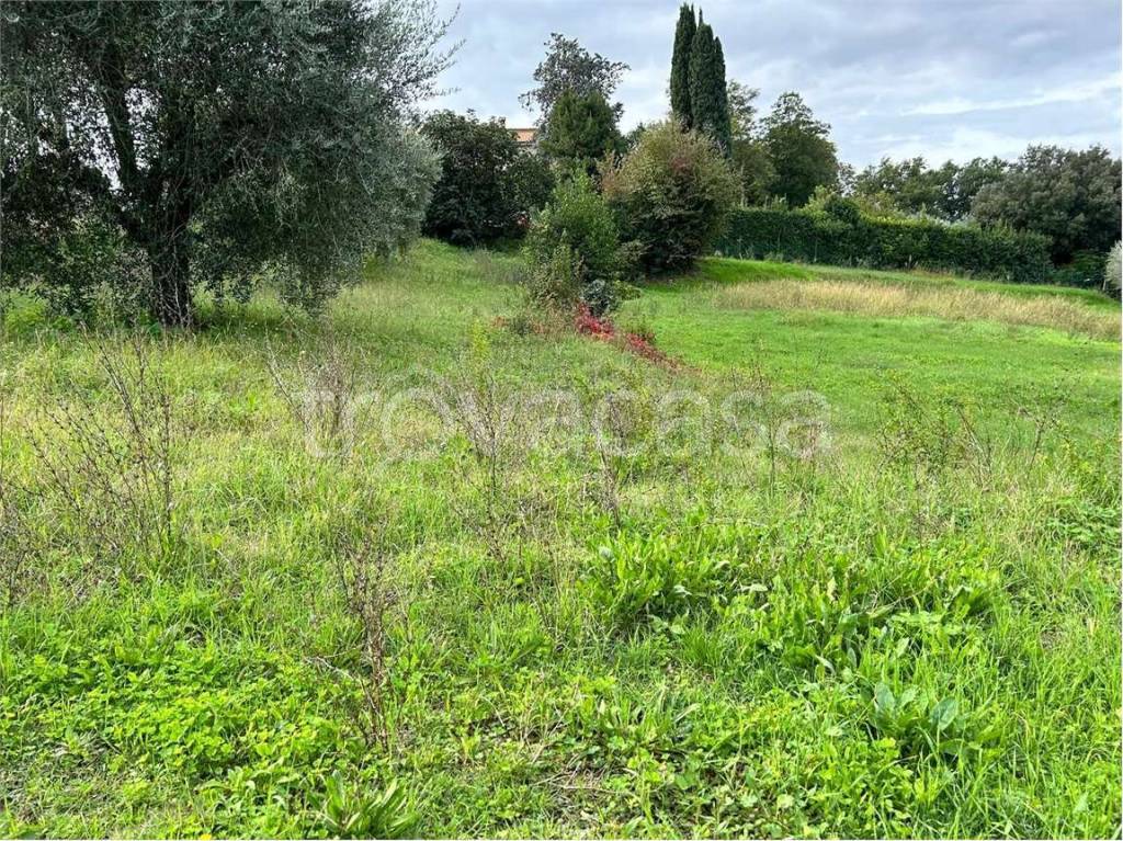 immagine annuncio 8 di 11