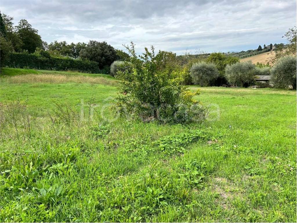 immagine annuncio 9 di 11