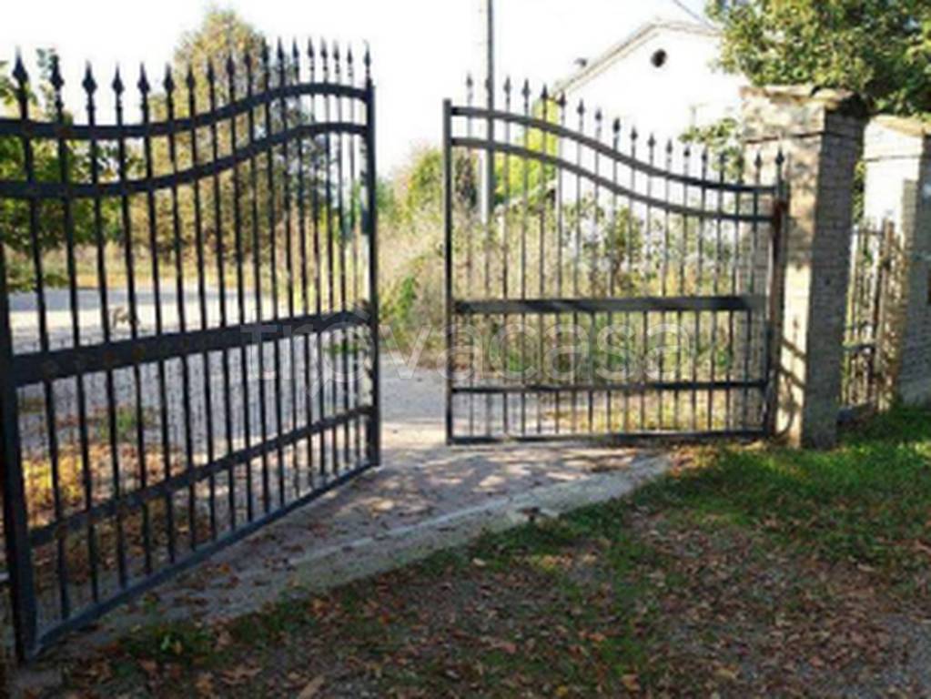 immagine annuncio 6 di 11