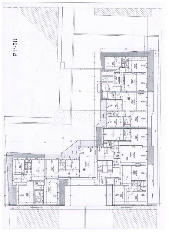 immagine annuncio 2 di 6