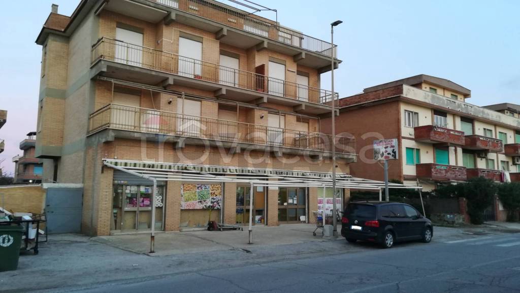 immagine annuncio 2 di 12