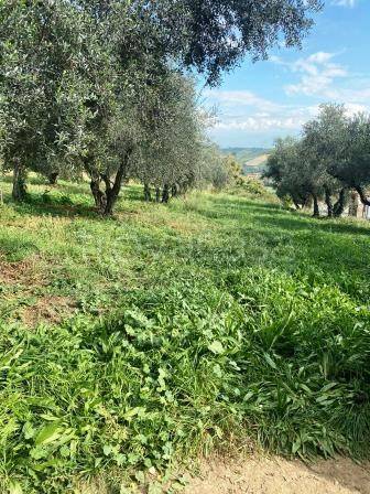 immagine annuncio 4 di 6