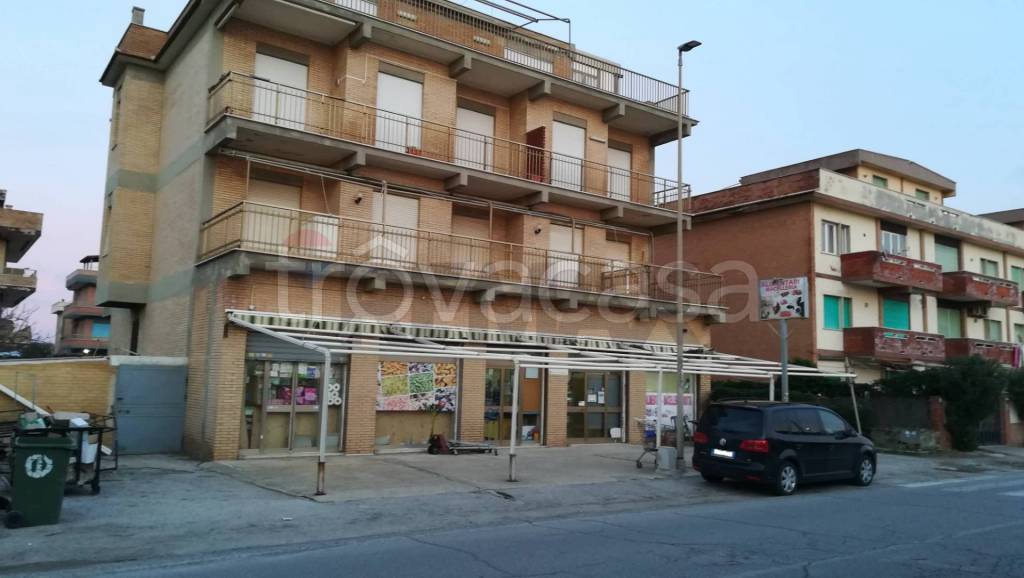 immagine annuncio 3 di 12