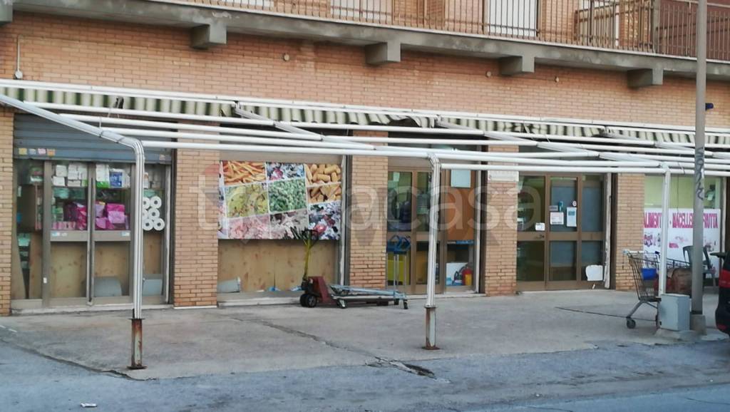 immagine annuncio 4 di 12