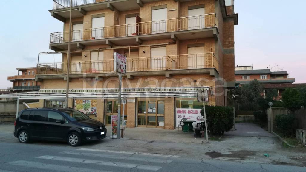 immagine annuncio 7 di 12