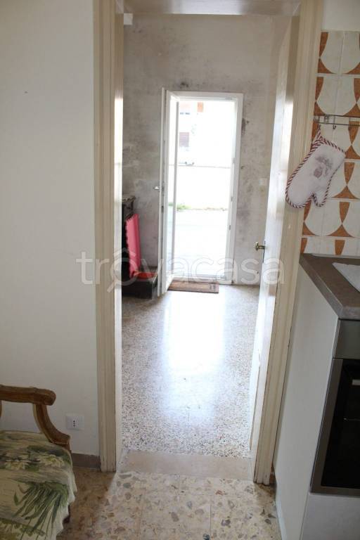 immagine annuncio 14 di 16