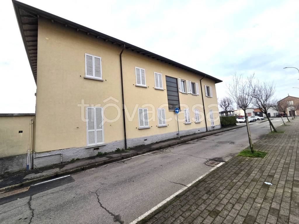 immagine annuncio 7 di 11