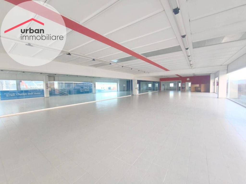 immagine annuncio 2 di 7