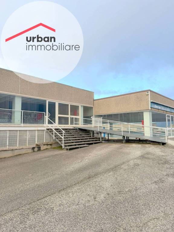 immagine annuncio 3 di 7