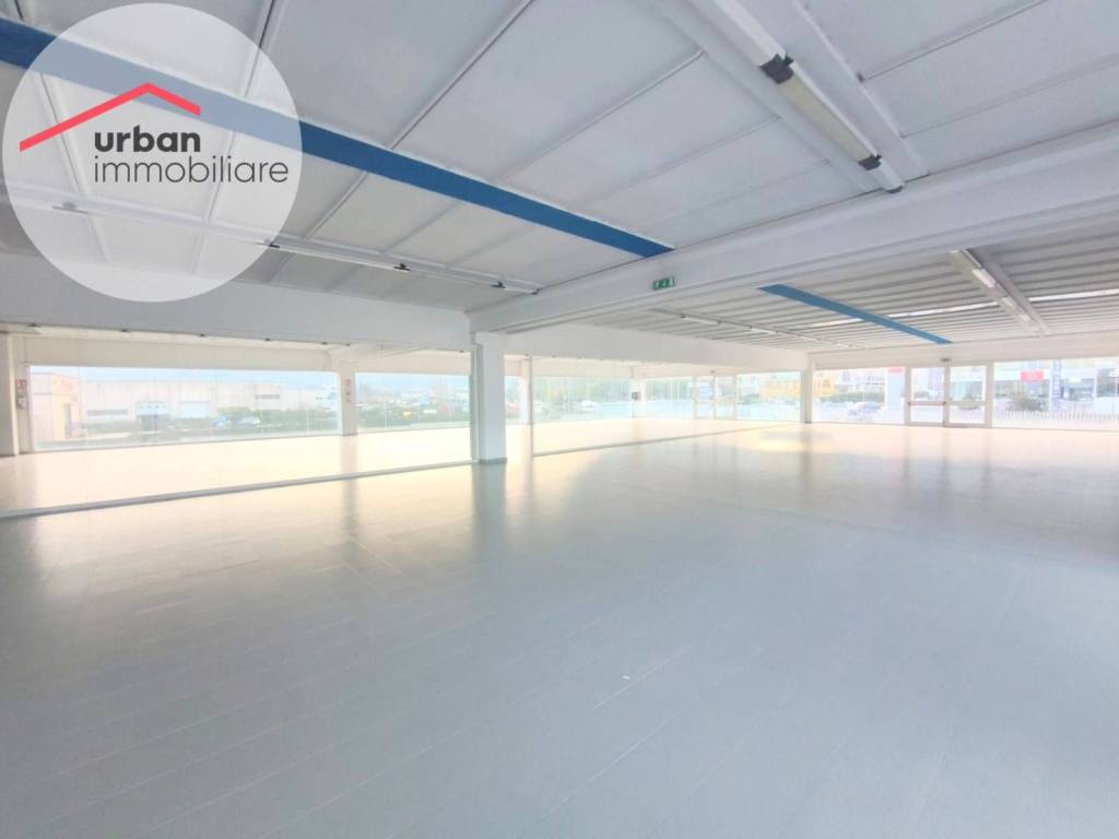 immagine annuncio 1 di 8