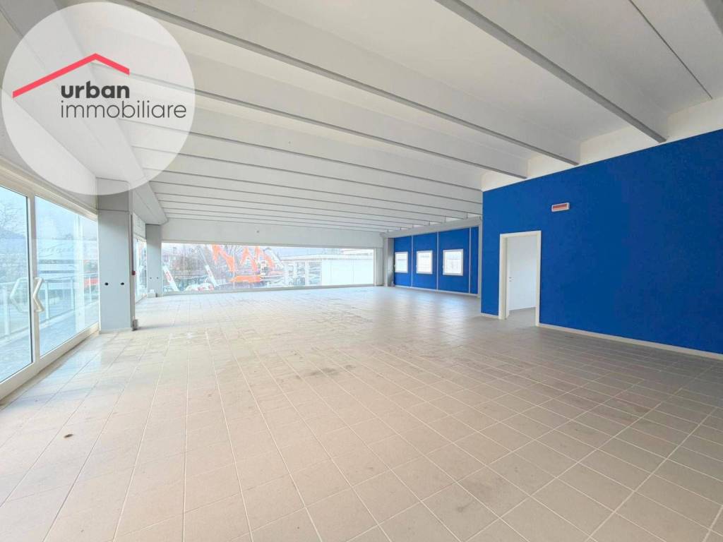 immagine annuncio 2 di 8