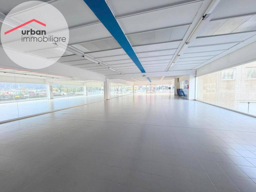 immagine annuncio 5 di 7