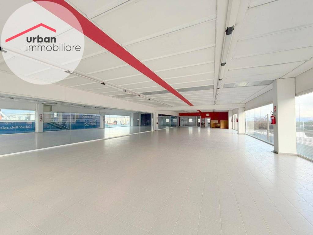 immagine annuncio 4 di 8