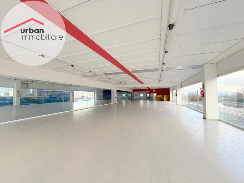 immagine annuncio 5 di 8