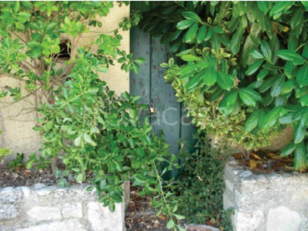 immagine annuncio 11 di 13