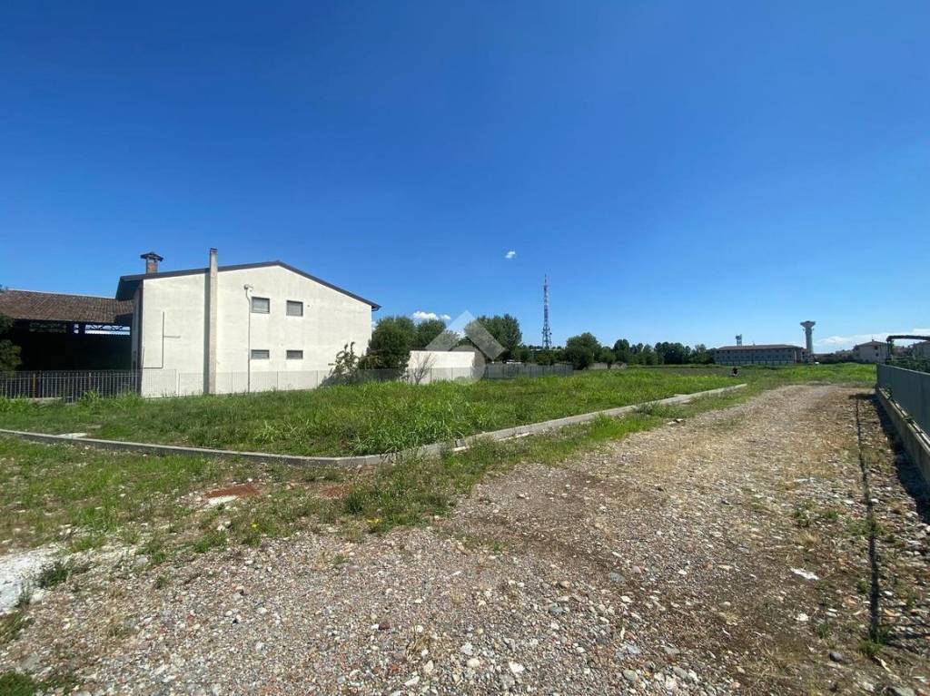 immagine annuncio 6 di 11