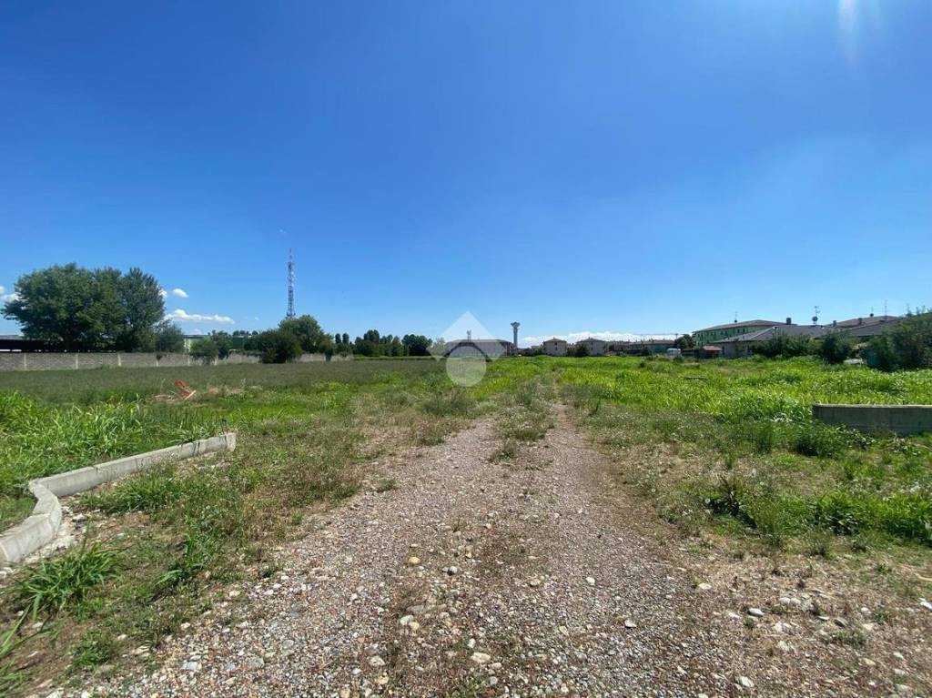 immagine annuncio 9 di 11