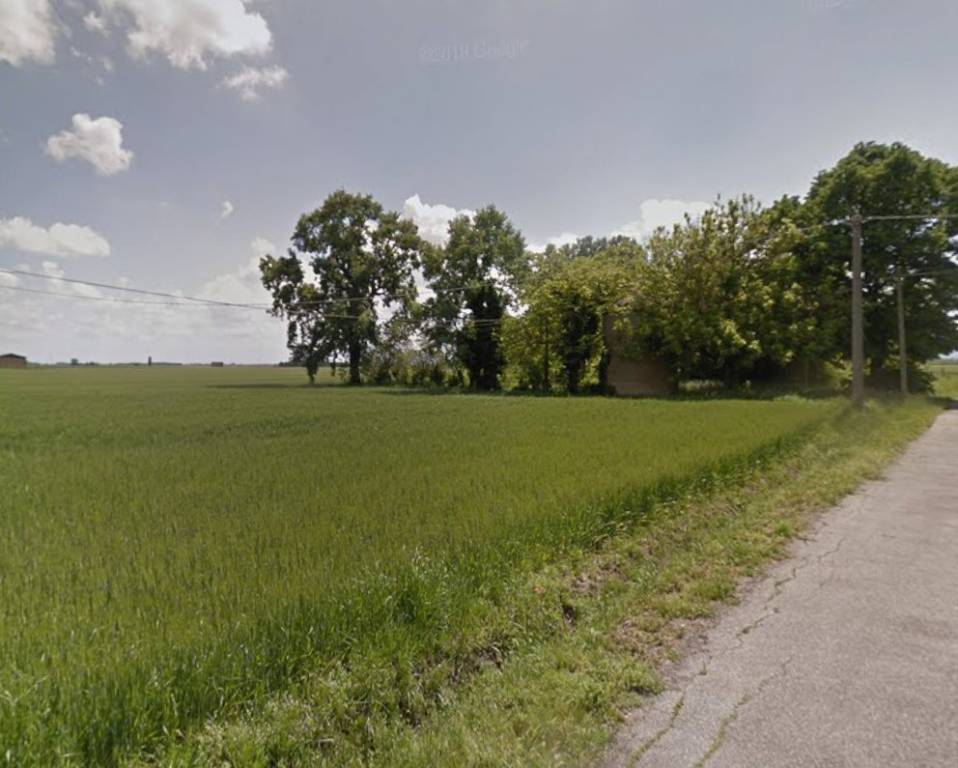 immagine annuncio 3 di 6