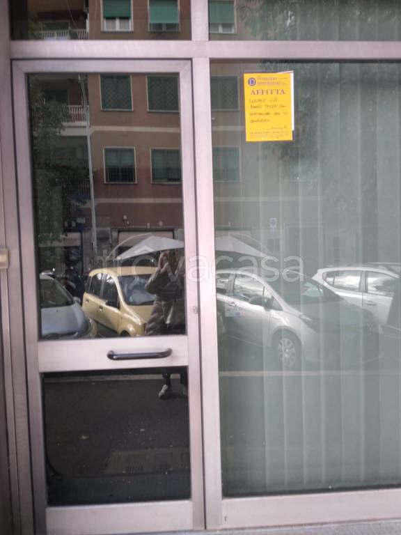 immagine annuncio 4 di 6