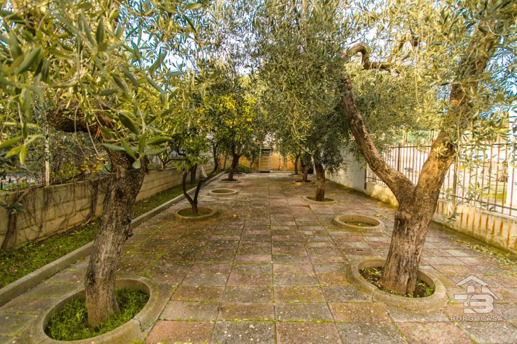 immagine annuncio 11 di 14