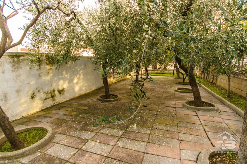 immagine annuncio 12 di 14