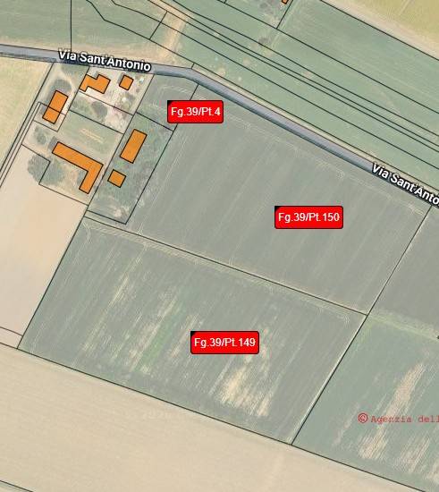 immagine annuncio 4 di 6