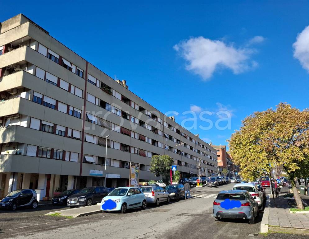 immagine annuncio 11 di 13