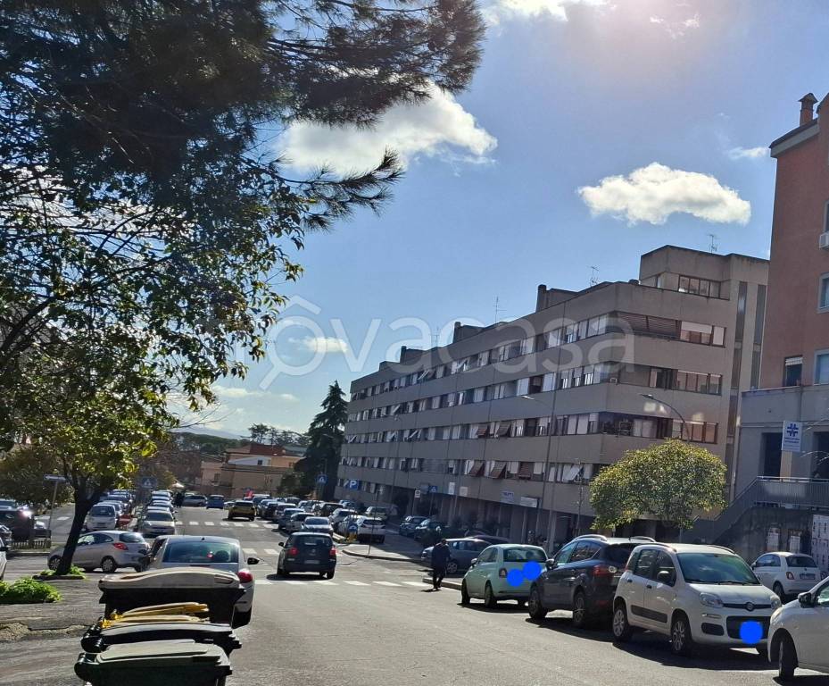 immagine annuncio 12 di 13