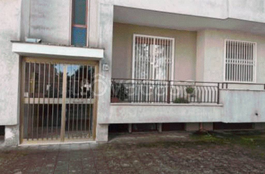 immagine annuncio 7 di 11